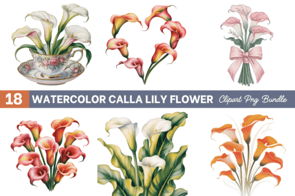 Download Watercolor Calla Lily Flower ClipArt's - Lily Collection