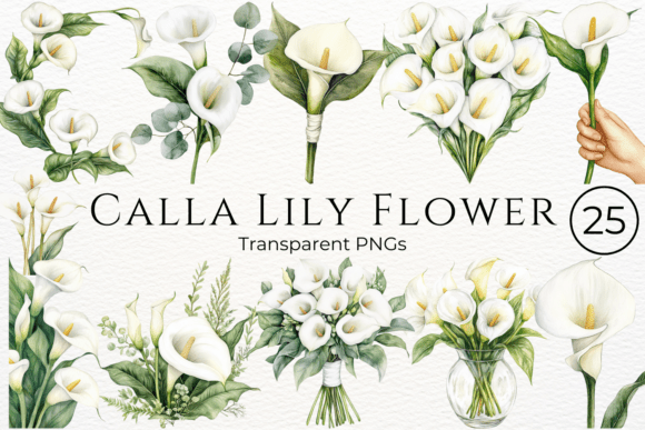 Download Calla Lily Flower Watercolor Cliparts - Lily Collection