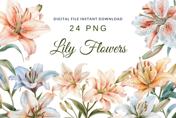 Download Watercolor Lilies Flower Lily Clipart - Lily Collection