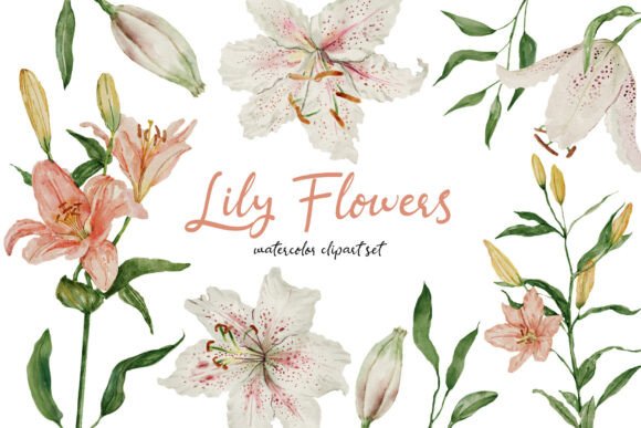 Download Hand-Drawn Lily&amp;Leaves Watercolor Set - Lily Collection