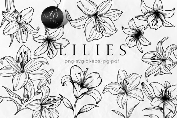 Download Lily Flowers Line Art SVG - Lily Collection