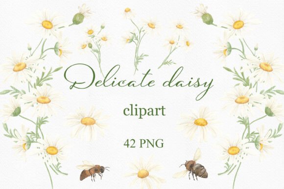 Download Watercolor Summer Daisy Clipart, Wreath. - Wreath Collection