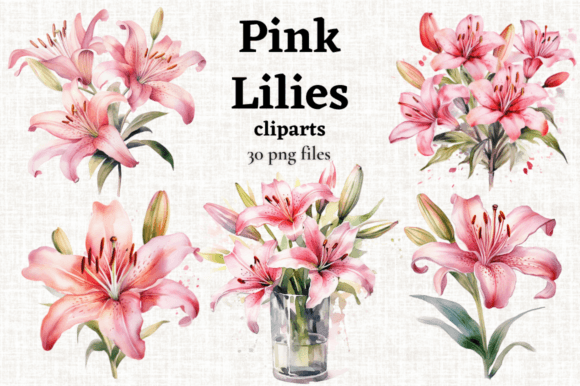 Download Pink Tiger Lily Clipart, Pink Lilies PNG - Lily Collection
