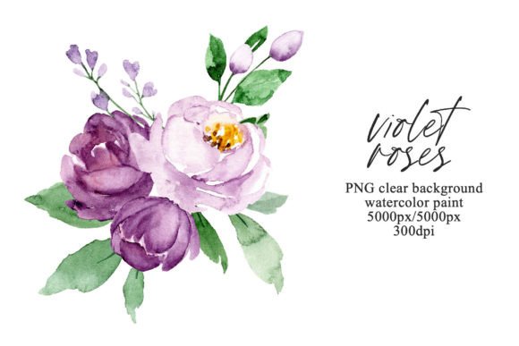 Download Watercolor Violet Flowers Roses, PNG. - Violet flowers Collection