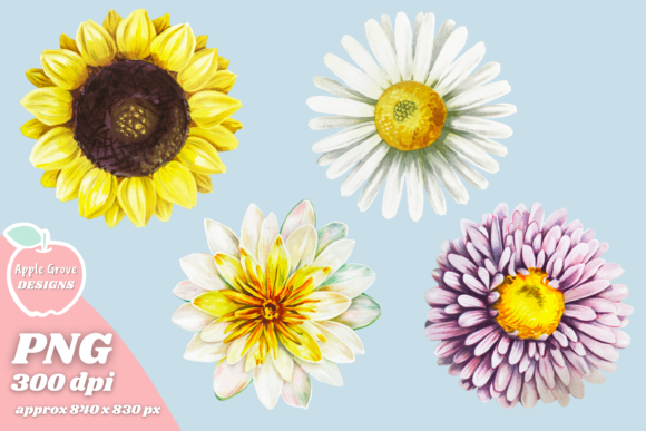 Download Water Lily, Sunflower, Daisy &amp; Aster - Lily Collection