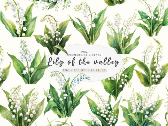 Download Lily of the Valley Clipart,Gardening Png - Lily Collection