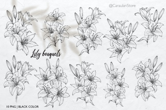Download Lilies Line Art, Lily Bouquets PNG - Lily Collection