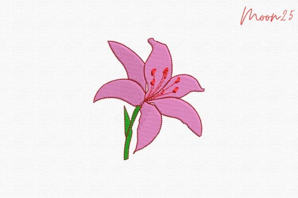Download Pink Lily Blossom Garden Bloom - Lily Collection