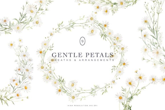 Download Watercolor Daisy Wreath Collection - Wreath Collection