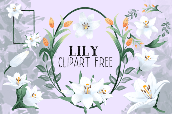 Download Lily Clipart Free - Lily Collection