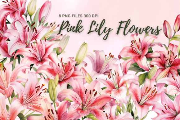 Download Pink Lily Flowers Watercolor Clipart - Lily Collection