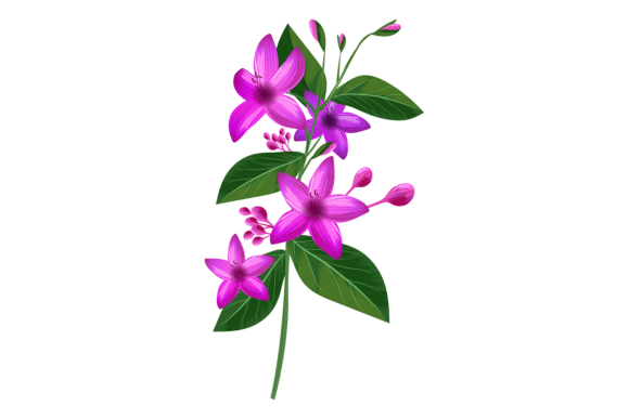 Download Violet Flowers from Tropical Jungle Plan - Violet flowers Collection