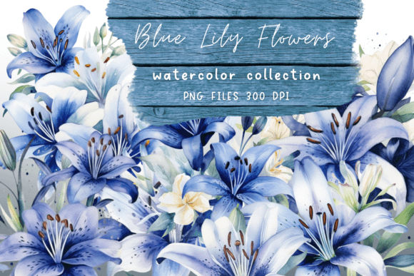 Download Watercolor Lily Blue Flowers - Lily Collection